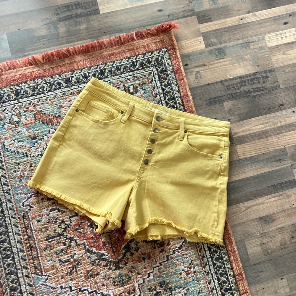 Mustard Universal Thread Button-fly Women's Shorts, 16